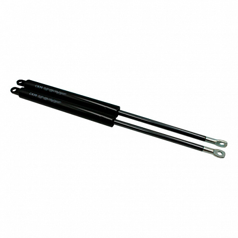 Газовый амортизатор 405мм/1000NW (405х160, D21, D10, D8,2) ASM GAS SPRING